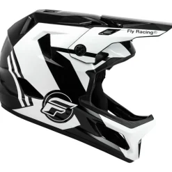 Fly Racing Rayce 2024 Helmet